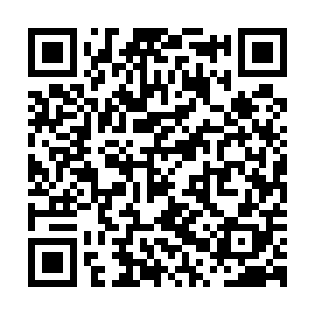 QR code for PPU508