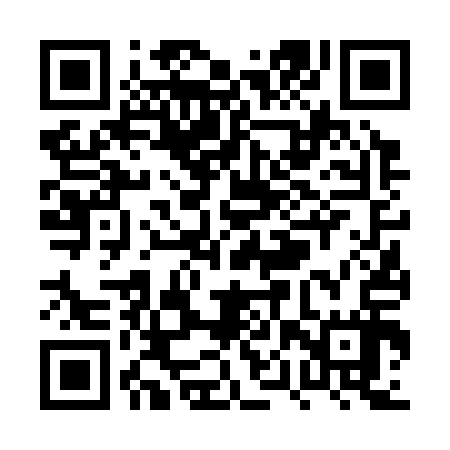 QR code for PPV317
