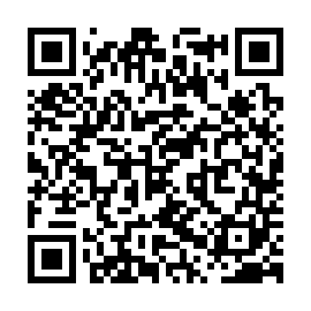 QR code for PPV341