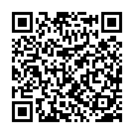QR code for PPX509