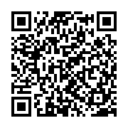 QR code for PPY374