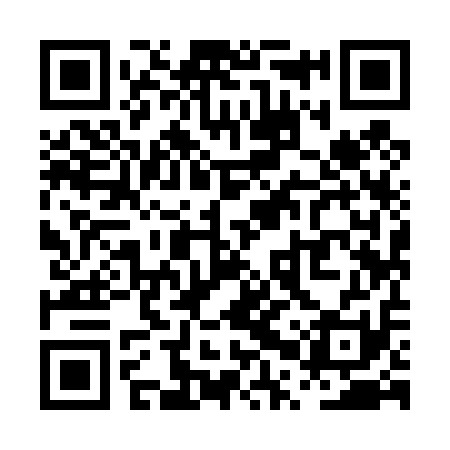 QR code for PPY411