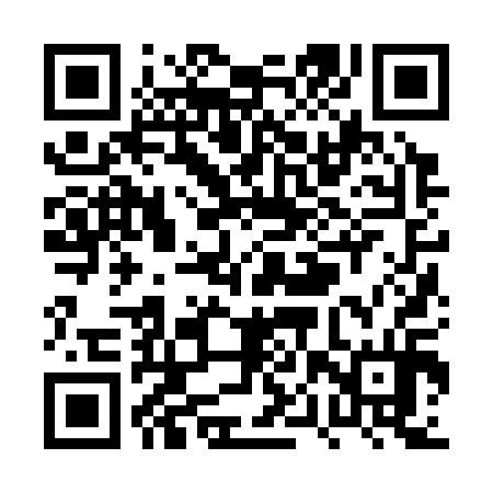 QR code for PPZ314