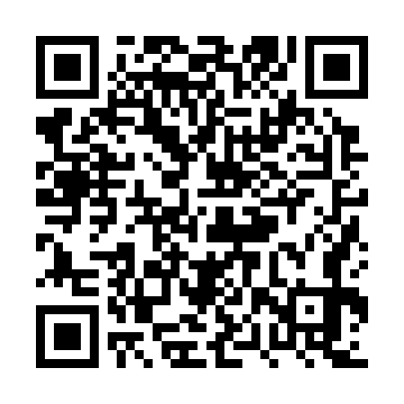 QR code for PPZ373