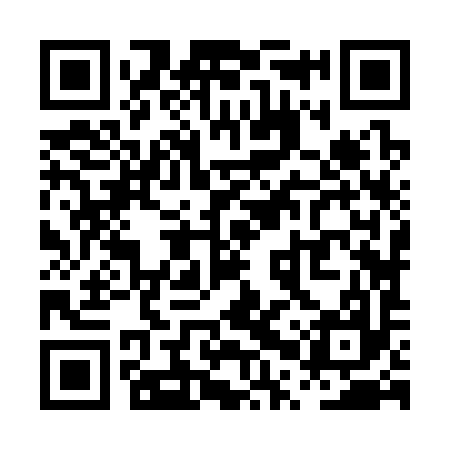 QR code for PPZ397