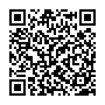 QR code for PPZ505