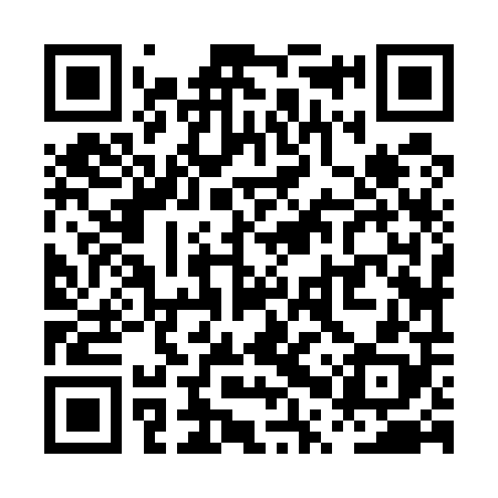 QR code for PPZ508