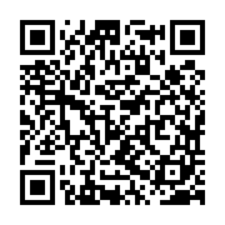 QR code for PPZ541