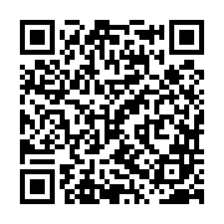 QR code for PPZ542