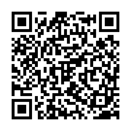 QR code for PPZ703