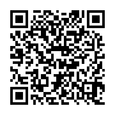 QR code for PPZ910
