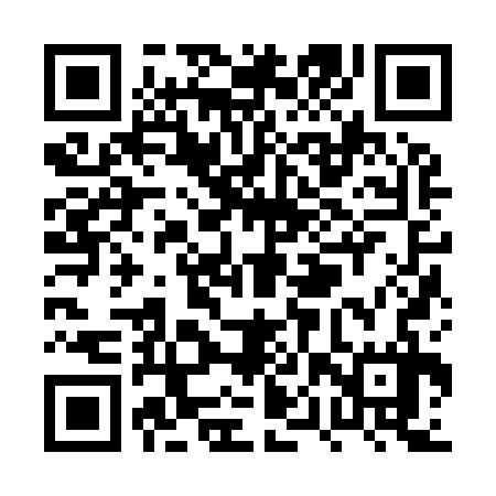 QR code for PPZ937