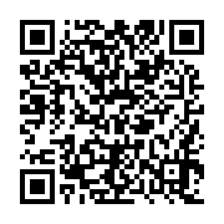 QR code for PPZ954