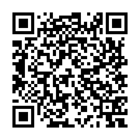 QR code for PPZ971