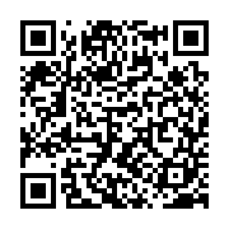 QR code for PQG341