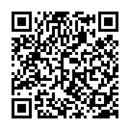 QR code for PQG419