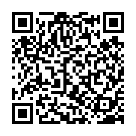 QR code for PQG619