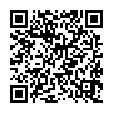 QR code for PQV383