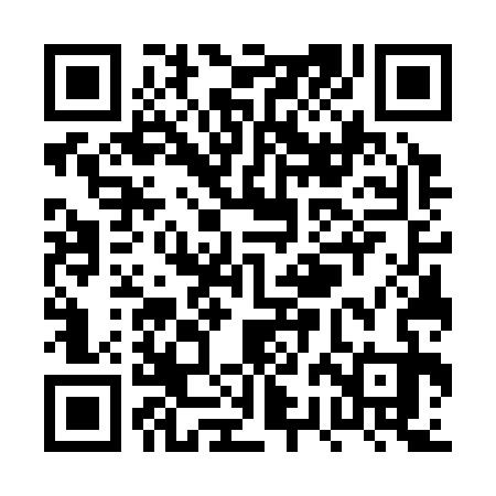 QR code for PRG333