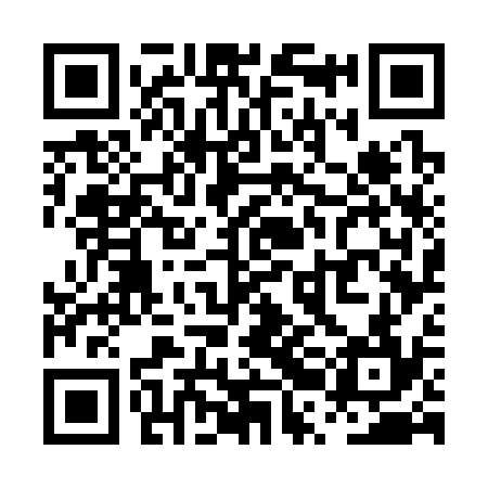 QR code for PRG334