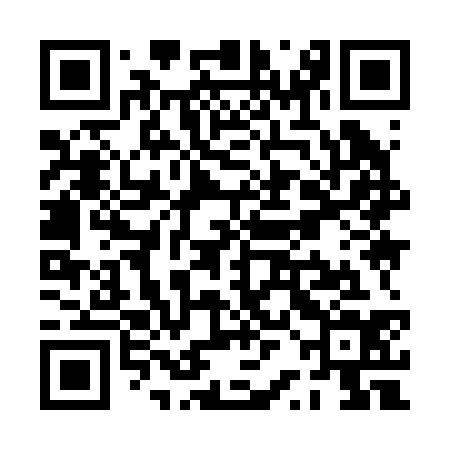 QR code for PRI234