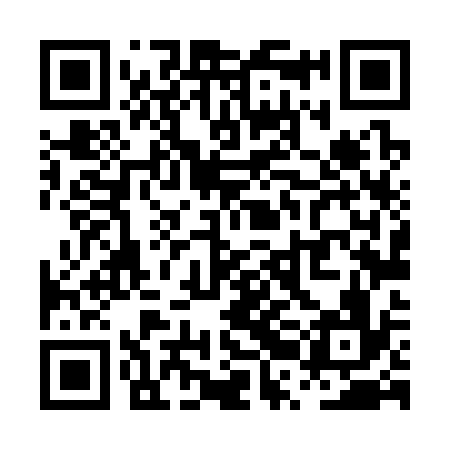 QR code for PRL336