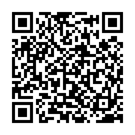 QR code for PSI533