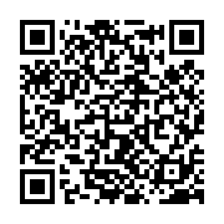 QR code for PSO411