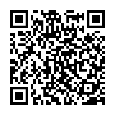 QR code for PSV868