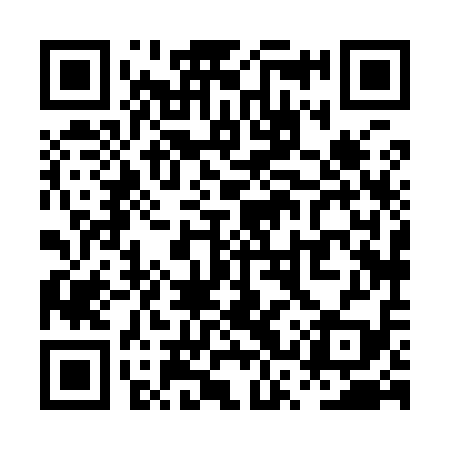 QR code for PSX919