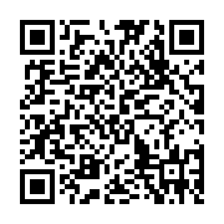 QR code for PTM453