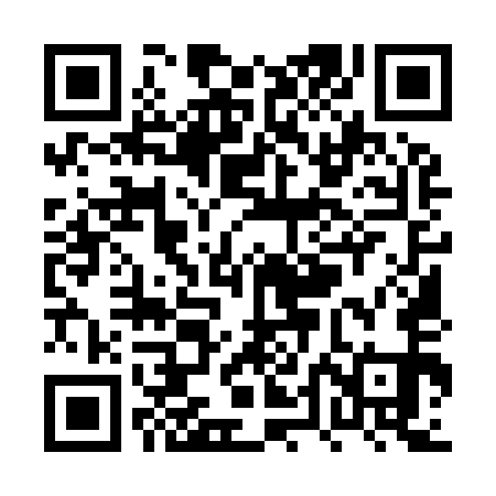 QR code for PTM951