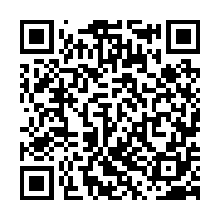 QR code for PTN250