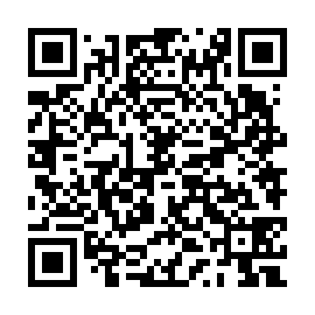 QR code for PTN638