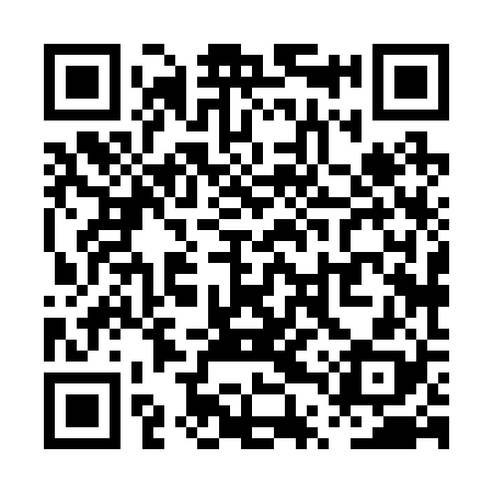 QR code for PTX228