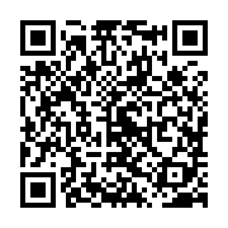 QR code for PTZ989