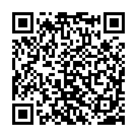 QR code for PTZ991