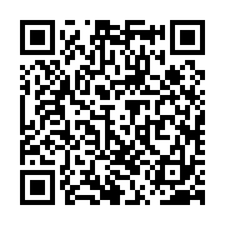 QR code for PUB133