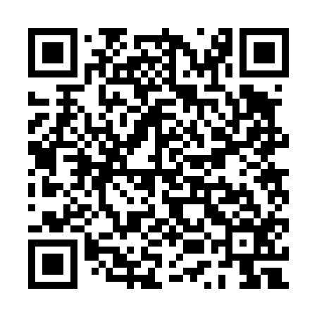 QR code for PUB416