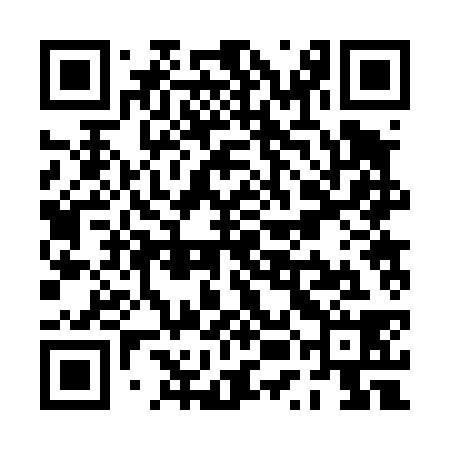 QR code for PUB438