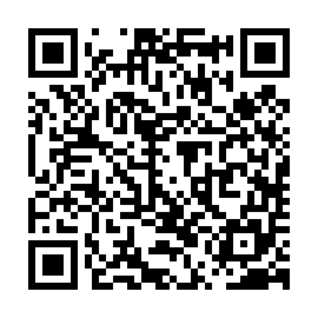QR code for PUB455