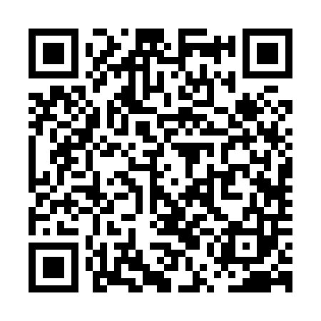 QR code for PUB803