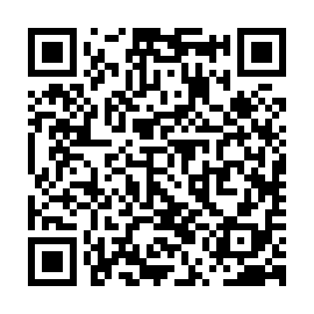 QR code for PUB818