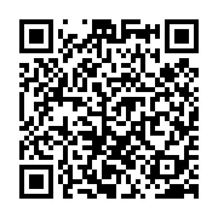 QR code for PUC419
