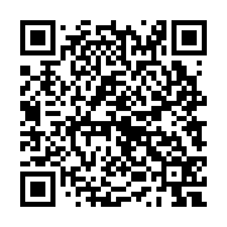 QR code for PUD336