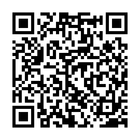 QR code for PUE333