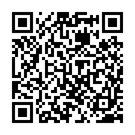 QR code for PUI293