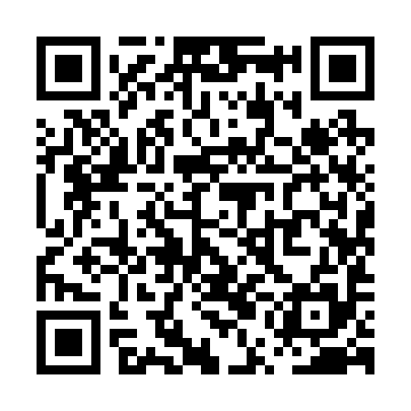 QR code for PUI295