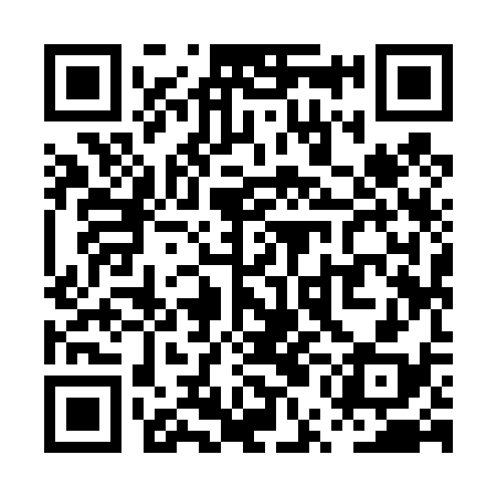 QR code for PUI438