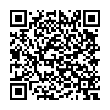 QR code for PUI452